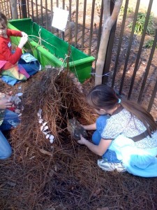 Girls building fairy houses in the Children's Garden's Woodland Point.