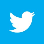 Twiter logo icon
