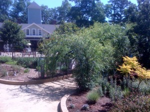 Living Willow Structure at Lewis Ginter Children's Garden