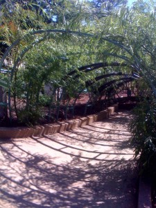 Living willow fort in the Children's Garden