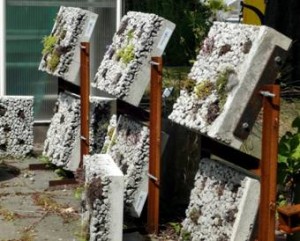 mixed media slabs with varied plant combinations, held at various angles and exposures at TU to test “best” potential combinations for green walls