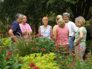 Staff and volunteers working together in the Garden