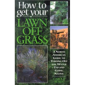 How to get your Lawn off Grass