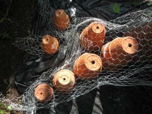 The framework of the tree. Built with chicken wire & pots. 
