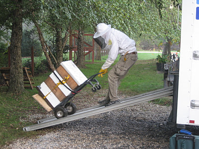 My dad, Jim, wheeling a hive into the moving van.  The outer cover will be removed during transit.