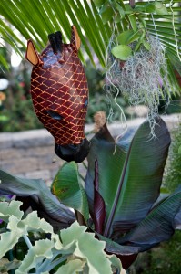 African bed- Vanilla orchids (yes there are species native to Africa), snake plant, pencil cactus, and Plumbago along with carved masks and a walking stick from Senegal. Photo by Don Williamson Photography