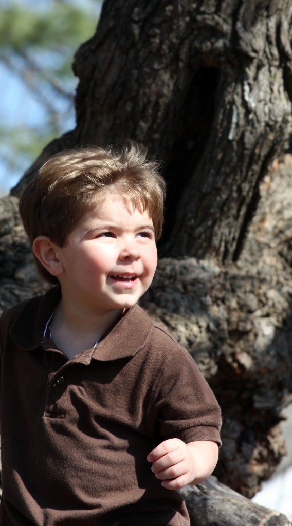Boy in mulberry tree