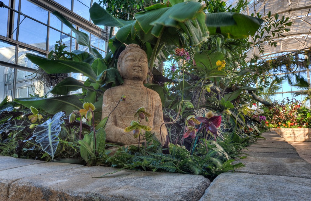 Asian bed -- Buddha statue surrounded by Paphiopedilum orchids and different types of Alocasias, Colocasias, and bananas.