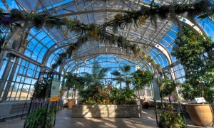 A local metal worker made these beautiful columns and arches that we dressed up with Dendrobiums, Vandas, Oncidiums, tropical plants, Tillandsias, and lots of Spanish moss. Photo by Don Williamson Photography