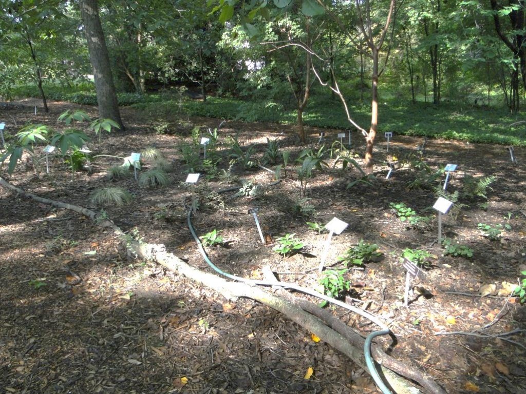 After shot of a trial bed in the Woodland Area behind the Children's Garden