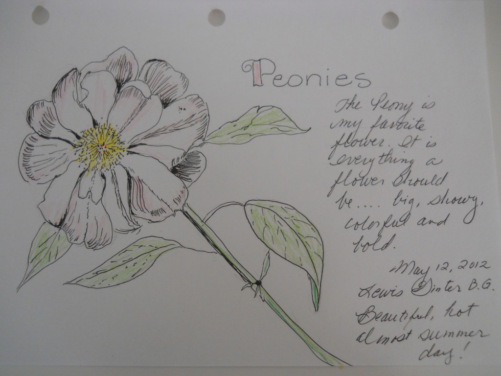 A page from author Paula Dabb's art journal on Peonies. 