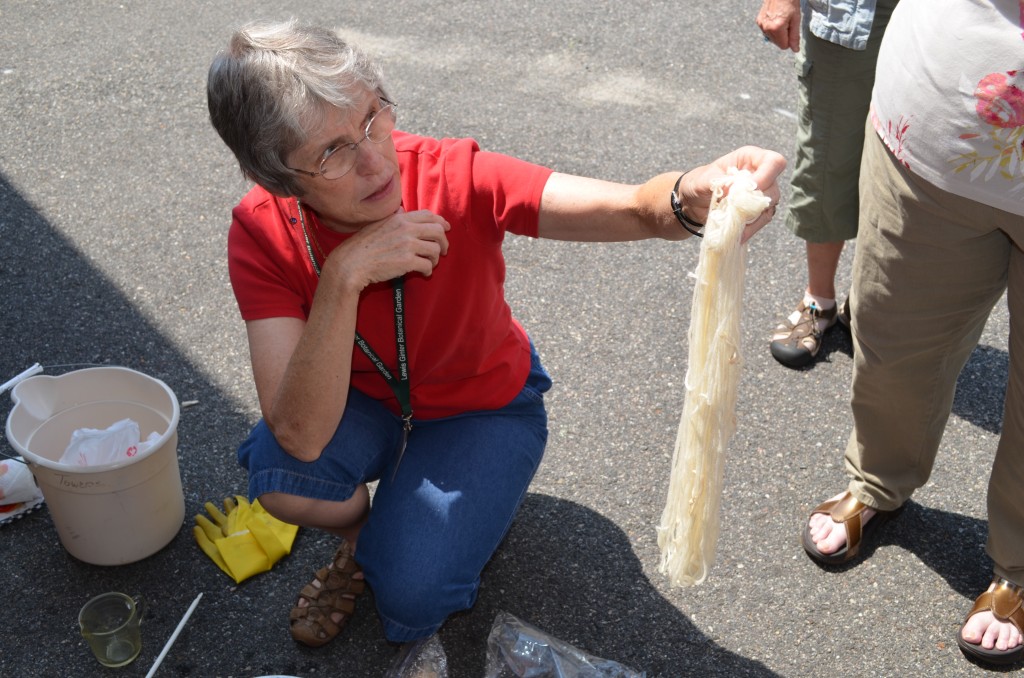 Judith Towers holding the fabric