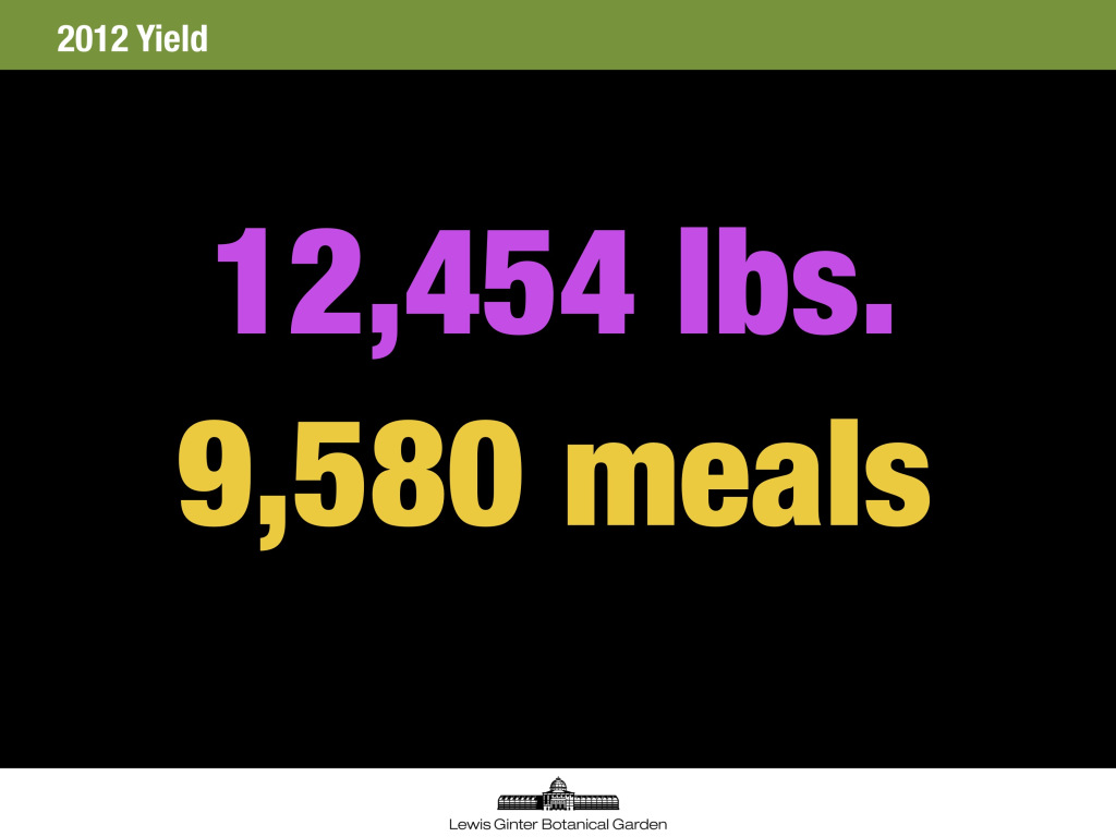 12,454 pounds of high quality, mostly organic fresh vegetables. The number of meals is based on a USDA factor (1.3 lbs. of vegetables constitutes a meal equivalent).