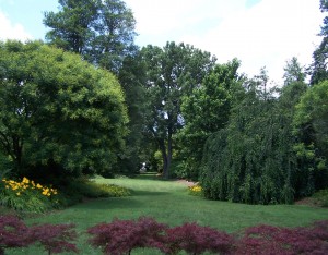 The mature landscape, though beautiful, proves challenging for the inexperienced homeowner. Shown here is the Henry M. Flagler Perennial Garden, one of the more mature areas at Lewis Ginter Botanical Garden. Photo by Sue Liddell 