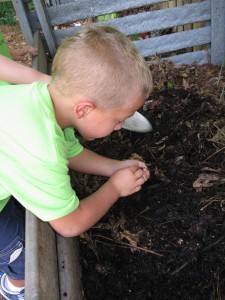 A Young Gardener explores the Children's Garden compost bin.