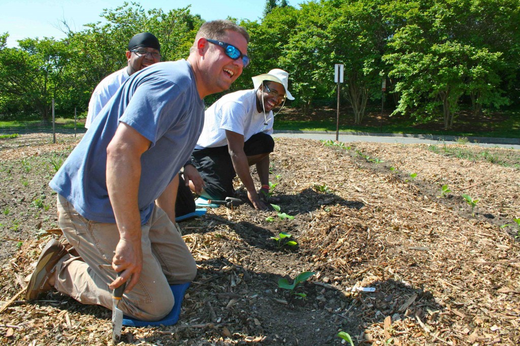 These Kroger associates demonstrate how much fun they’re having planting eggplant.