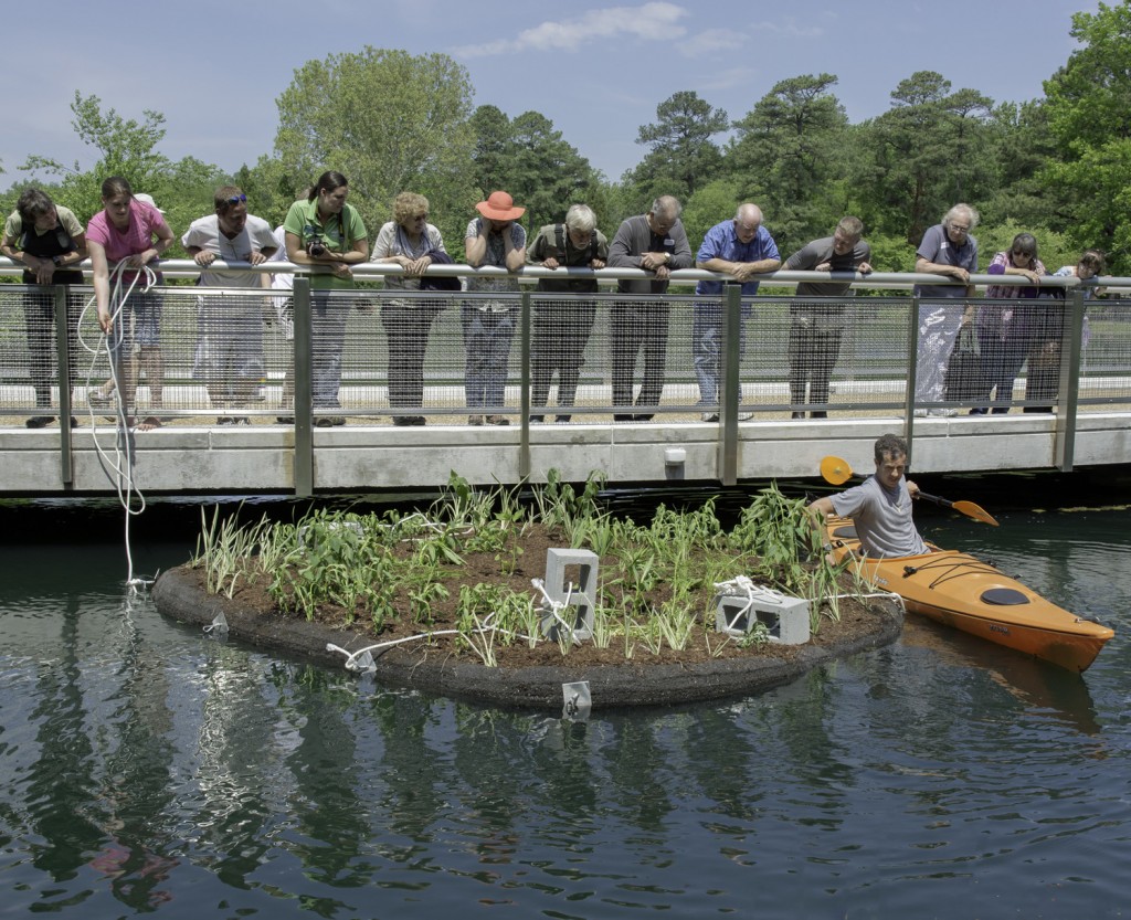 Volunteers & visitors watching the installation. The cinder blocks were dropped in the water as anchors. 