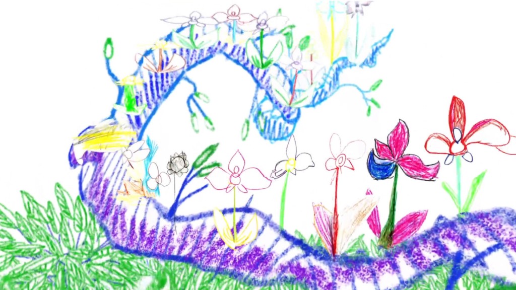 A snapshot of illustrator Tyler Rhodes' orchid evolution animation. 