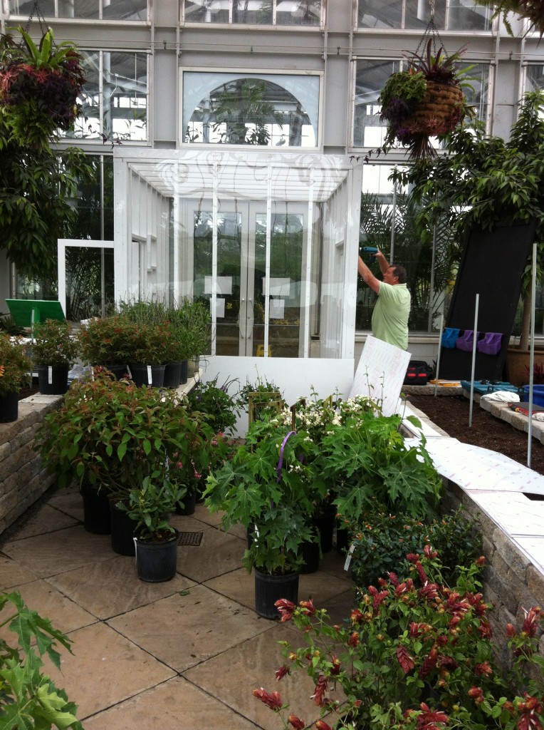 Staff member Richard Kmetz putting the finishing touches on the vestibule in the North Wing of the Conservatory.