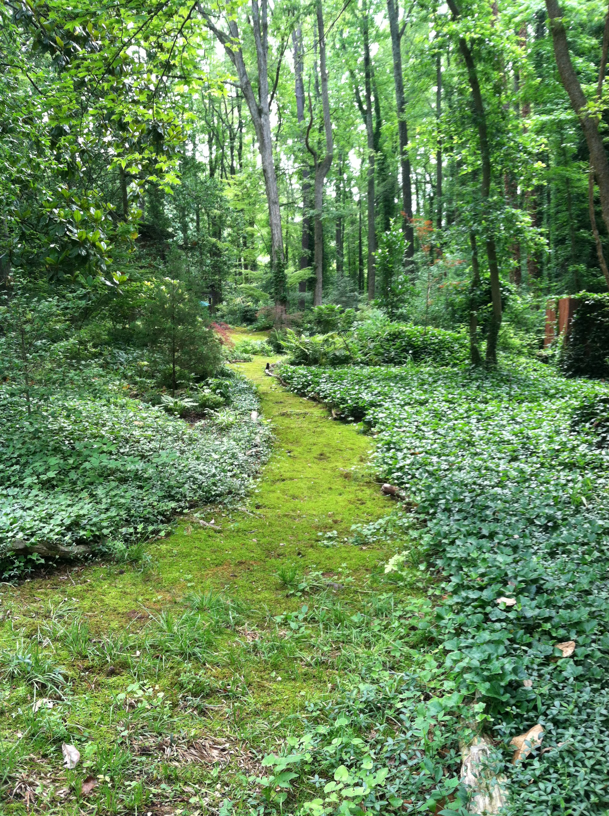 Eden Woods: Adventures in Moss Gardening - Lewis Ginter Botanical Garden