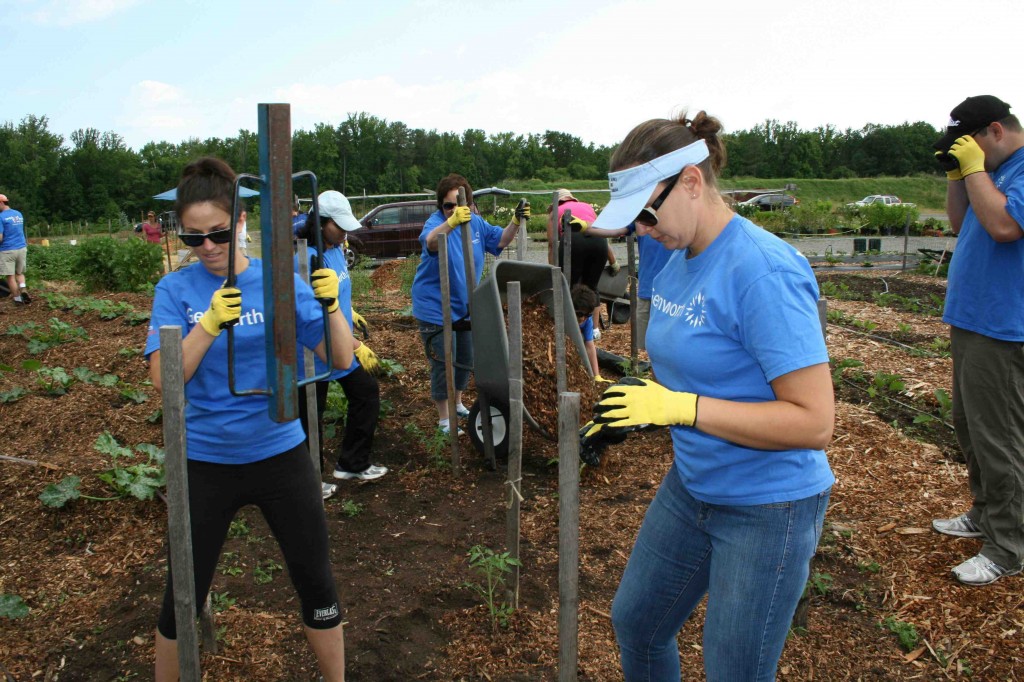 The tasks for the morning included mulching beds and pathways, and hammering tomato stakes - one of the most rigorous assignments in the CKG.