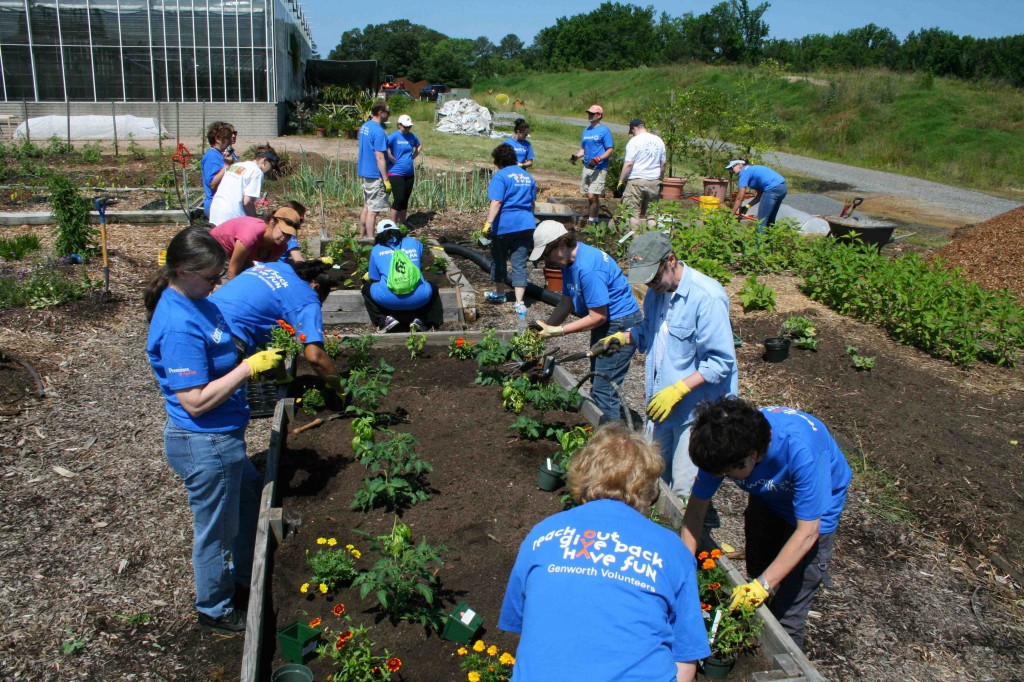 A large group of volunteers in a relatively small space, but the Genworth team moved gracefully & efficiently to accomplish a wide array of tasks.