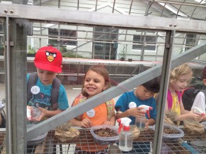 Rising-kindergarten campers enjoy watering their broccoli sprout initials in the Children's Garden Greenhouse!