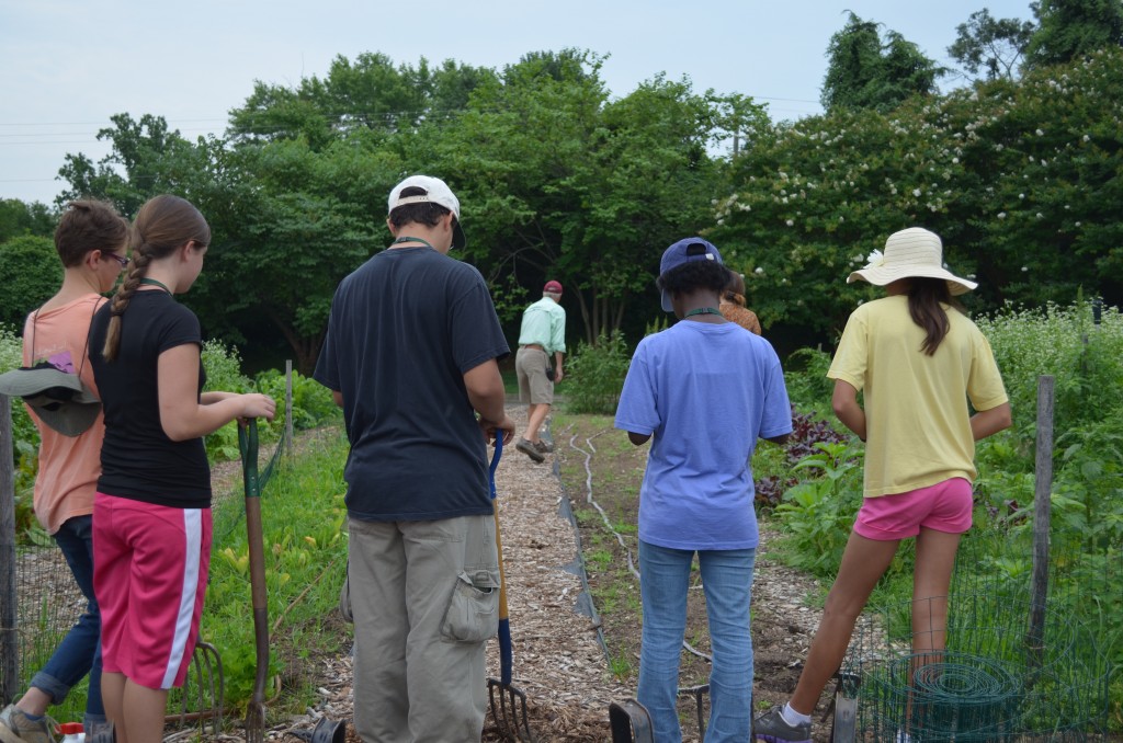 Community Kitchen Garden Coordinator, Brian Vick, instructing the Youth Service Volunteers on turning over a bed. 