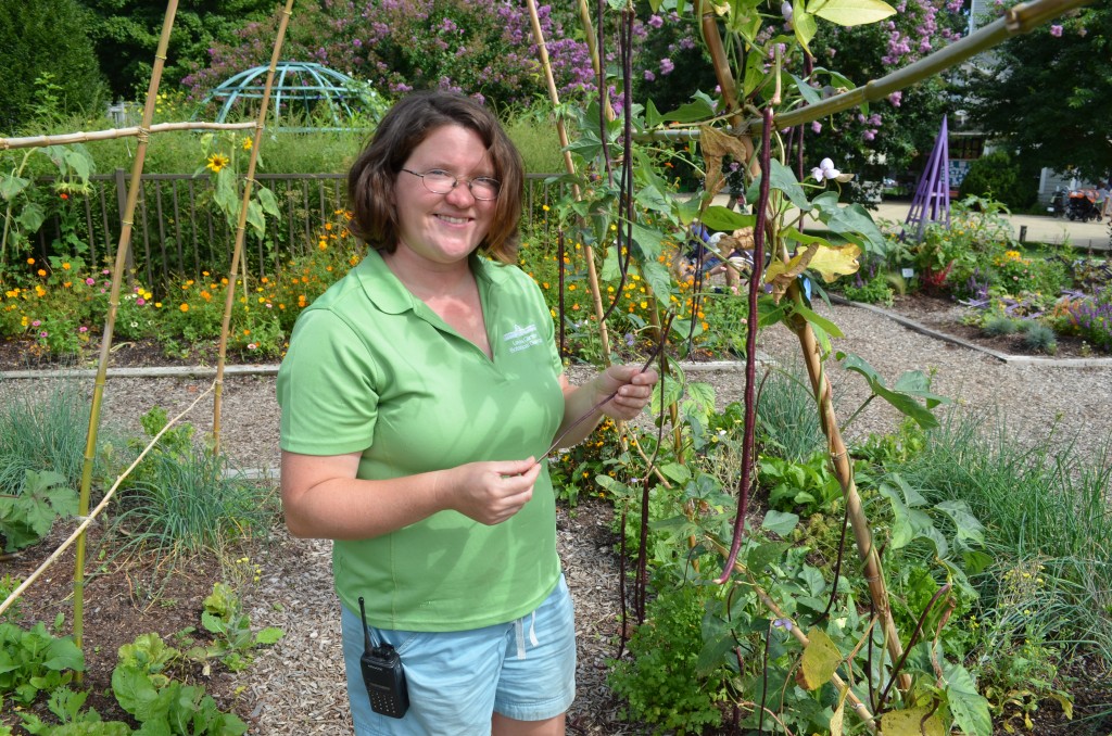 Children's Garden Horticulturist Heather Veneziano showing off the Yardlong Noodle bean 'Chinese Red.'