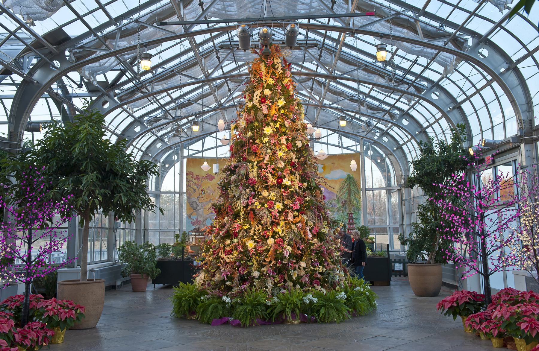 Top 5 Tips For Holiday Tree Trimming Lewis Ginter Botanical Garden