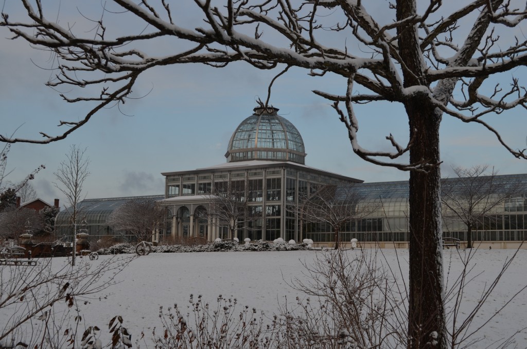 snowy conservatory