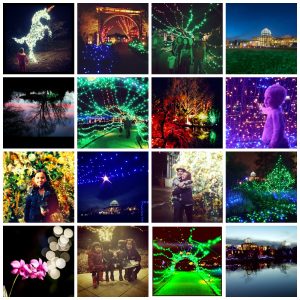 Instagram Contest Winners