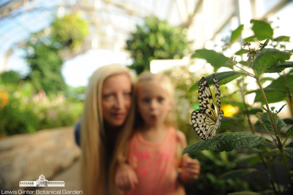 The joy of watching a butterfly up close. Photo by Scott Elmquist 