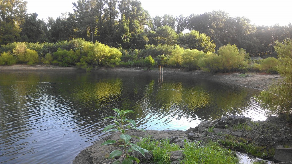 a very low irrigation lake