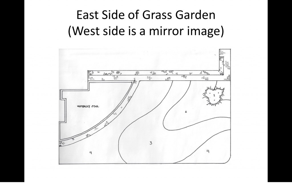 Drawing of ornamental grass garden design.