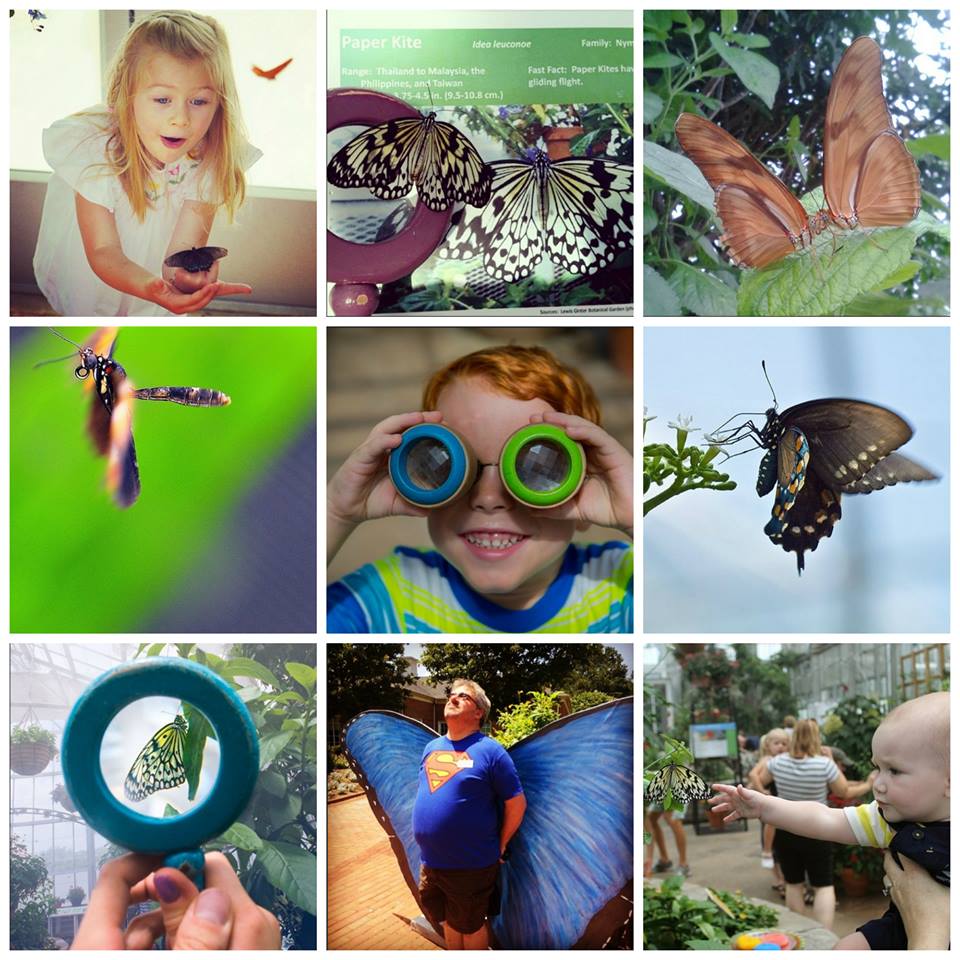 Here area a few more favorites from our Butterflies LIVE! #Bflies Instagram contest. Which is your favorite? Pictured from left to right, top to bottom: @cassiesdavis @omjitskaylax3 @filthyrichmond @phillipaberch @themeganm22 @rlasch @harryvdesign @gucci_gilbert @polene Follow us on Instagram: http://instagram.com/lewisginter