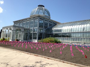 BEFORE: colorful flags mark the planting scheme for the new Grass Garden in front of the Conservatory