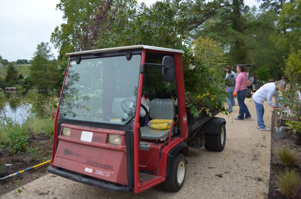 A cart filled with brush and weeds from along the lakeside.