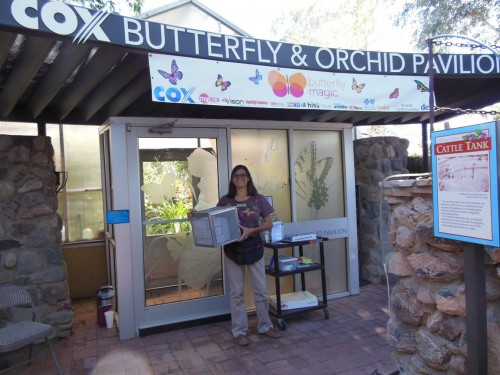 Entrance to the Cox Butterfly and Orchid Pavilion at Tucson Botanical Garden