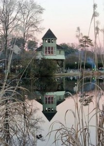 Ornamental grasses grow near the water at Lewis Ginter Botanical Garden, with the Tree House reflected in the background. Photo by Lucky Ginger Studio