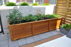 balcony herb garden