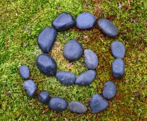 Wild Art: A Journey Off-Canvas