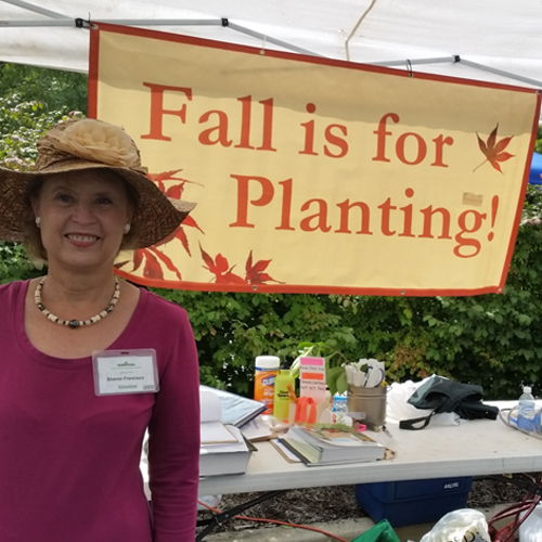 Lewis ginter plant sale