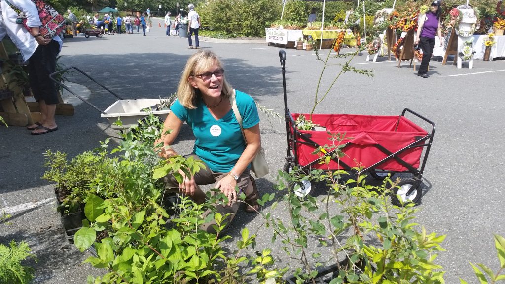 PlantFest Shopping at the Spring Plant Sale