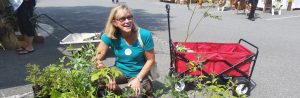 Fall flair at fall plantfest