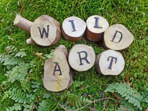 Wild Art: A Journey Off-Canvas