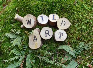 Wild Art: A Journey Off-Canvas