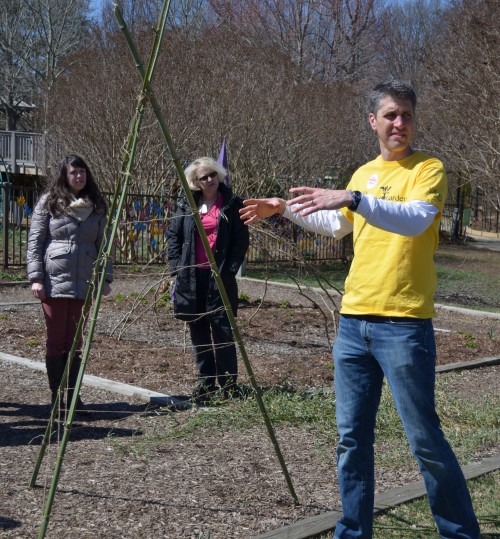 Teepee pea trellis 