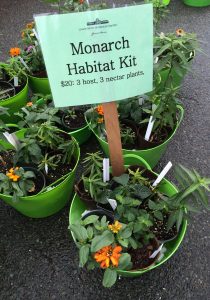 PlantFest Monarch Habitat kit