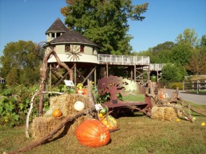 October Oddities in the Children's Garden